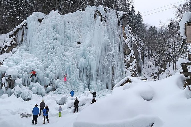 Medium shot of cross-country skiers in Planica under soft overcast skies, showing the peacefulness and beauty of the valley in winter