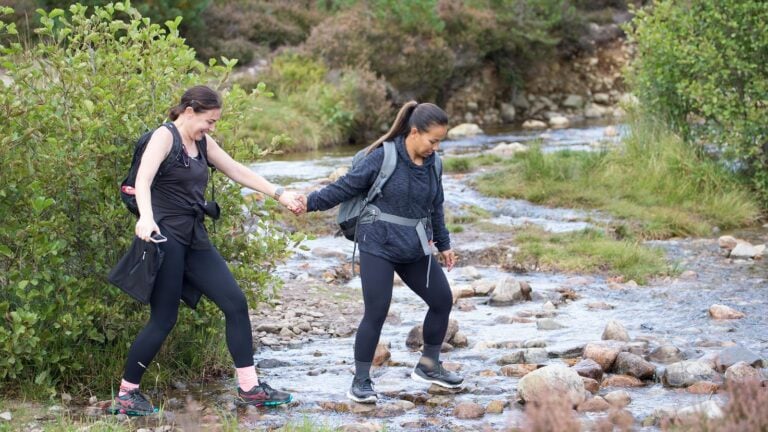 Taxidermied Birds at The Fife Arms