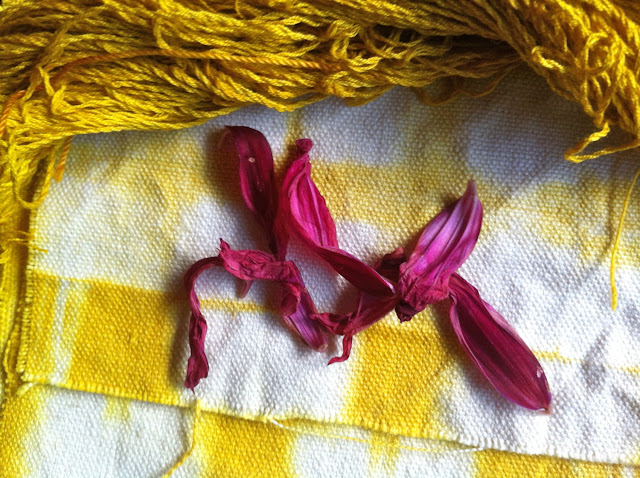Harvest Hues: Simple Natural Dyeing Projects fr...