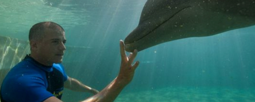 # Dive In, Give Back: Transform Your Vacation into...