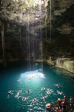 Hidden portals to an underwater world, where sunlight filters through the jungle canopy, illuminating crystalline waters within limestone sinkholes.