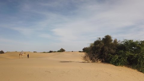 Namib Desert stargazing