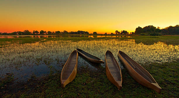 # Okavango Delta: A Wildlife Photographer's Sustai...