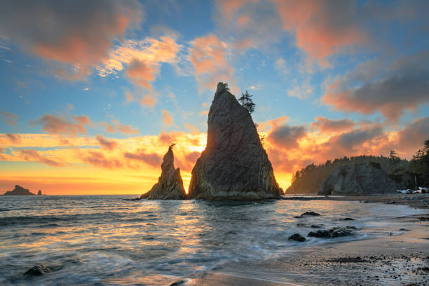 Dramatic sea stacks silhouetted against a fiery sunset sky at Rialto Beach.