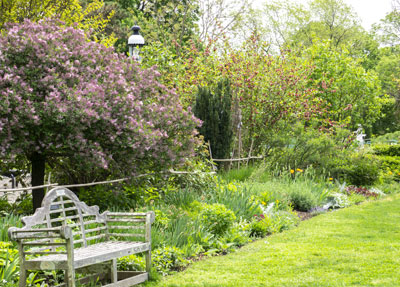 Building a Backyard Bird Sanctuary: A Homestead...