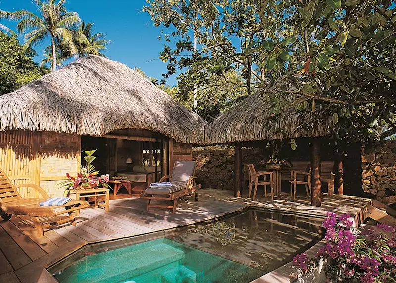 An underwater photograph taken by Dr. Carter, showcasing a vibrant coral reef teeming with colorful fish, including clownfish, parrotfish, and butterflyfish, and diverse coral formations.