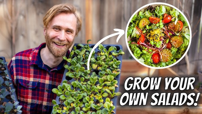 Photo sequence illustrating the process of sowing seeds