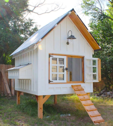 Image of a chicken coop designed to house ten chickens, featuring ample space and resources.