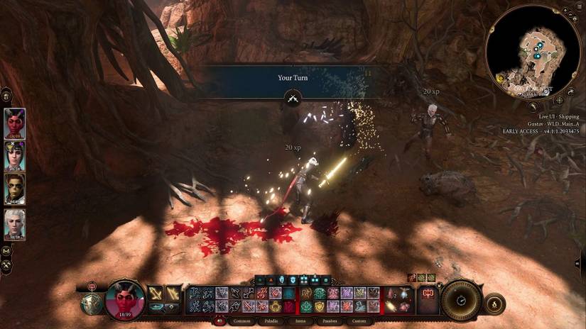 Performance Settings