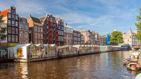 the flower-filled courtyard