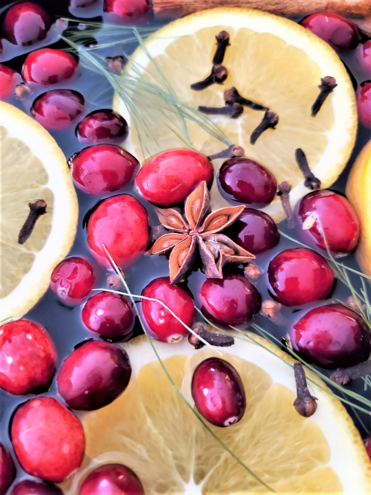 Spiced Cranberry & Orange: A Simmer Pot Recipe...