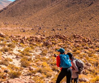 Stargazing in the Atacama Desert, Chile, with the Milky Way vividly displayed in the night sky