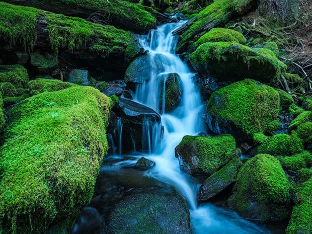 # Chasing Dawn in Olympic National Park: A Solo Ph...