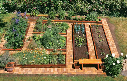 A Thriving Homestead: 5 Unexpected Ways to Buil...