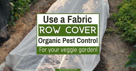 Row Covers