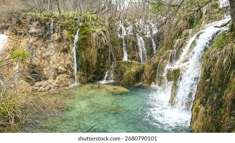 ## A Marine Biologist's Deep Dive into the Turquoi...