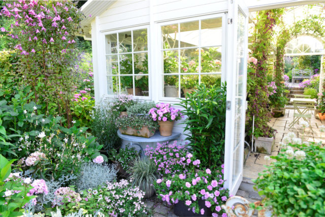 farmhouse porch cottage garden sunlight