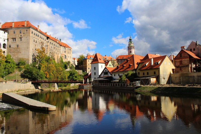 Annelise sketching geraniums