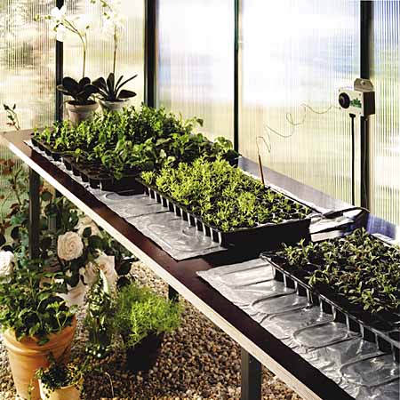 Heated propagation mats inside a greenhouse or other controlled environment for growing plants.