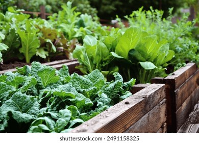 From Compost to Kitchen: Turning Fall Leaves in...