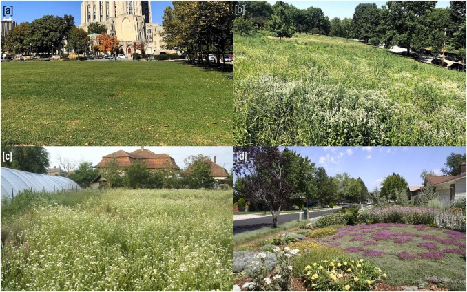Iowa's Gardeners Face the Drought: Seed Shortag...