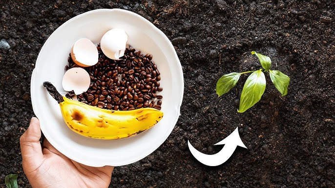 Trash to Treasure: Turning Kitchen Waste into G...