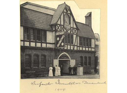 Illustration of garden