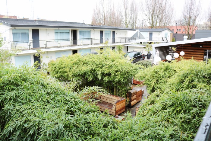 Portland Arts District Murals