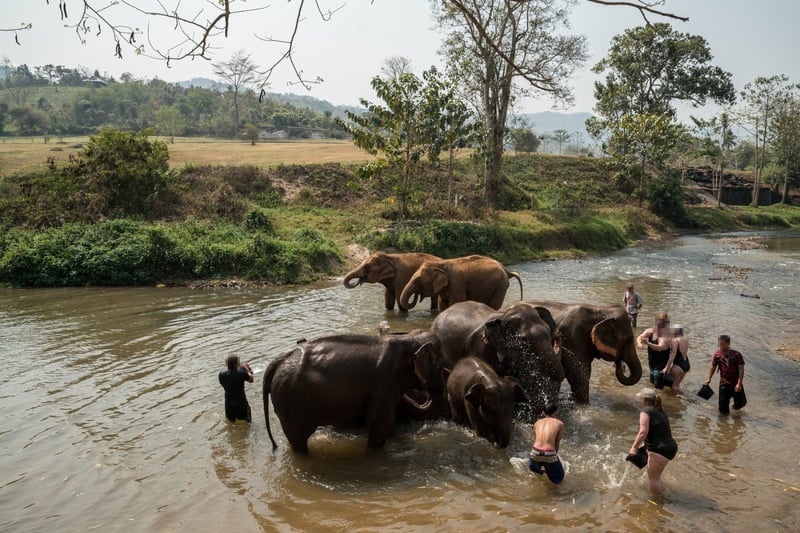 ## An Ethical Oasis: My Journey Through the Four S...