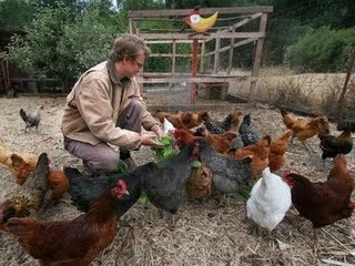 Revive Your Homestead: The Enduring Appeal of H...