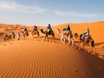 Moroccan desert with camels and people riding them