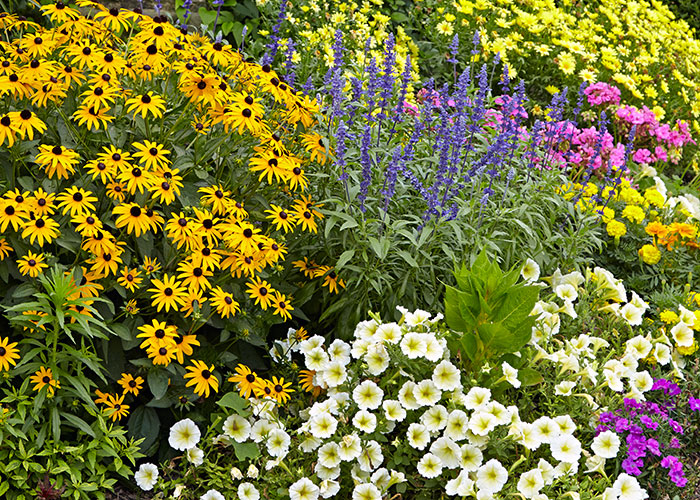 7 Easy Ways to Make Your Garden a Pollinator Pa...