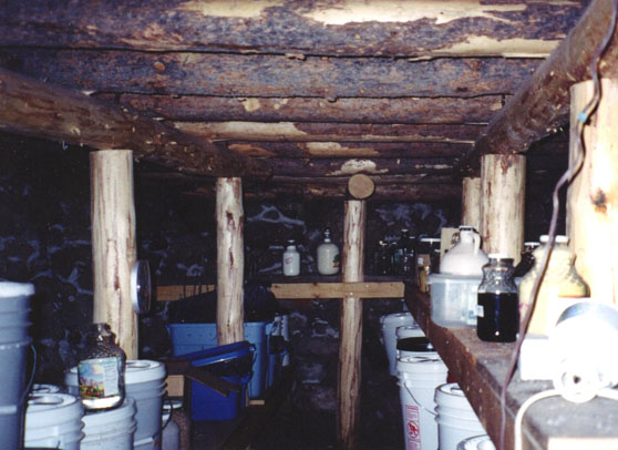 Pantry Alternative