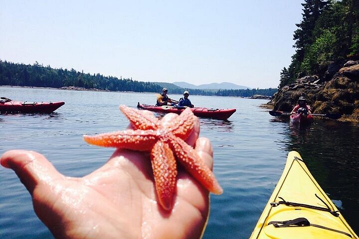 A slightly blurred, candid image of the portable shower setup, with Chloe standing guard for privacy, looking nervously around while holding a towel. The image is slightly out of focus to suggest a candid shot and to protect their