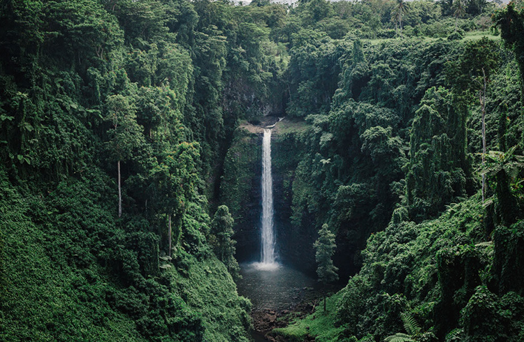 A vibrant waterfall cascading into a natural pool in Samoa