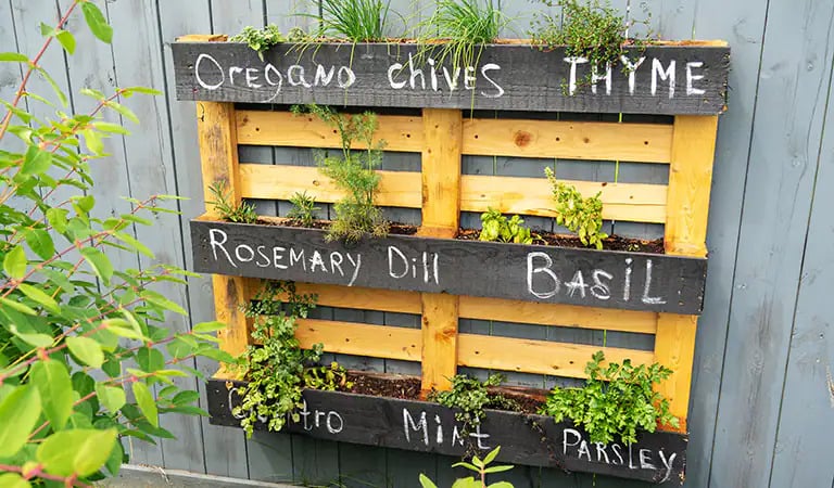 A simple raised garden bed constructed from a pallet, positioned against a fence.