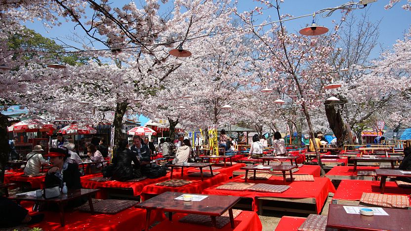 Traditional tea ceremony in Kyoto