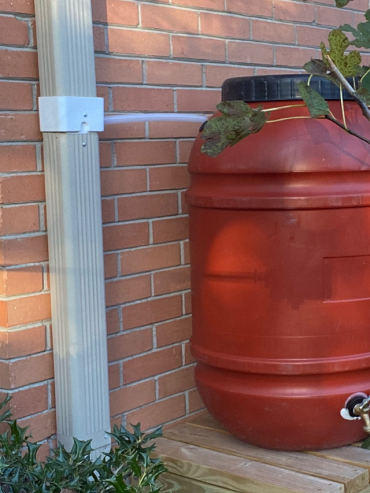 DIY Rain Barrel for Garden Watering System