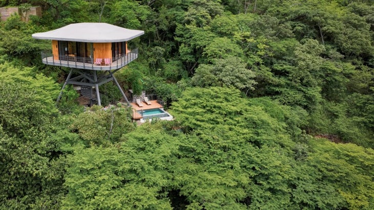 Interior view of a treehouse suite in a hotel, showcasing the elegant decor and comfort of the accommodation.