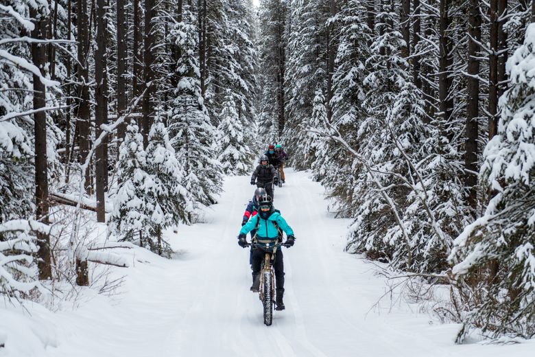 Solar panels on the roof of the Banff Park Museum National Historic Site.