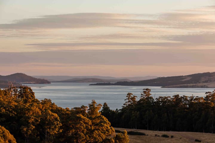 # Tasmanian Workation: Adventure, Romance, and Rel...