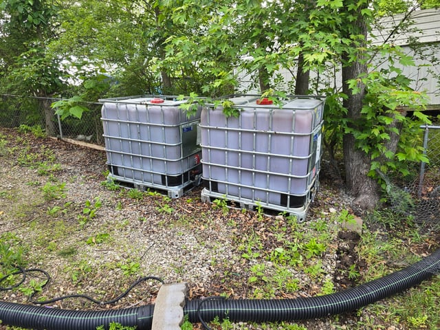 Inspecting the IBC tote rainwater system for leaks and damage.