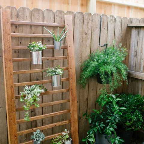 Plastic bottles cut into planters