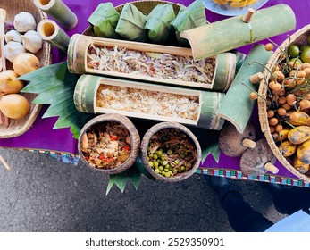 Reforestation efforts planting native trees