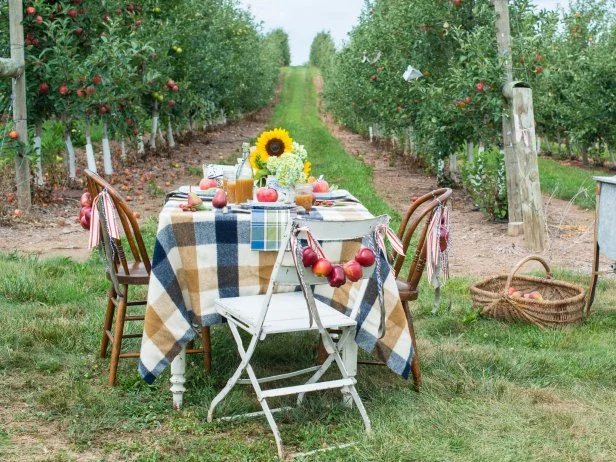 fall apple orchard picnic