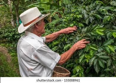 Horseback riding in Cocora Valley