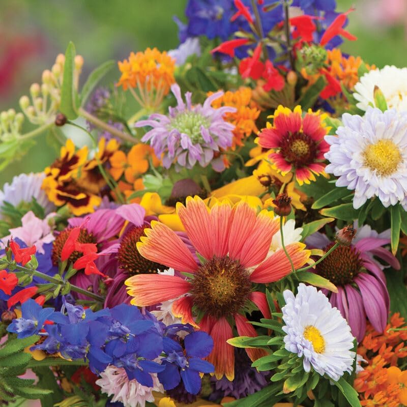 native flowers blooming in a permaculture garden