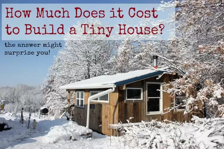 Get Ready for Winter: DIY Root Cellar Revival fo...