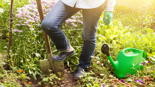 planting in fall