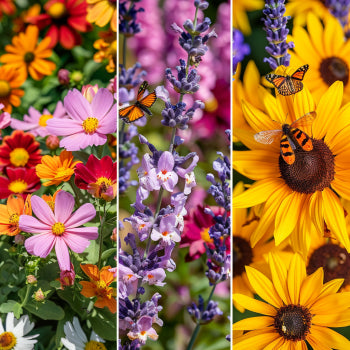 Three seasonal garden images showing blooms in spring, summer, and fall, indicating a variety of plants for continuous nectar